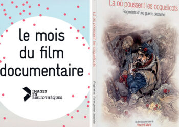 Où poussent les eucalyptus ?