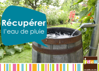 Où recuperer des plantes gratuitement ?