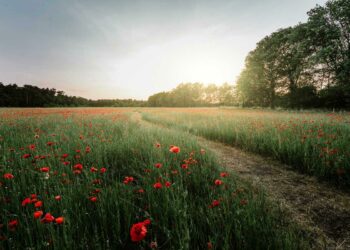 Où se promener en Belgique un dimanche ?