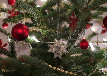 Où se trouve le sapin en verre à Bordeaux ?