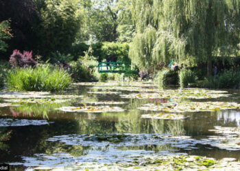 Où se trouve les œuvres de Monet ?