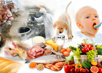 Où trouve T-ON des frênes ?