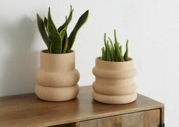 Où trouver de jolis Cache-pot ?