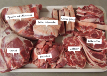 Où trouver de la viande de kangourou en France ?