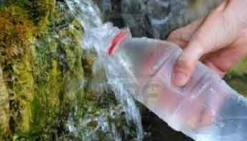 Où trouver de l'ambre dans la nature ?