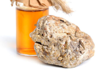 Où trouver de l'ambre gris ?