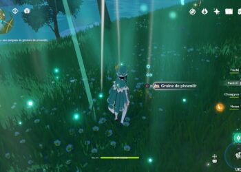 Où trouver des Achatina ?