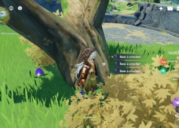 Où trouver des bambous dans la nature ?