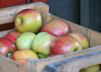 Où trouver des caisses de pommes ?
