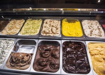 Où trouver des coquillages au Québec ?