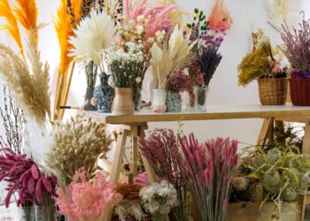 Où trouver des fleurs séchées dans la nature ?