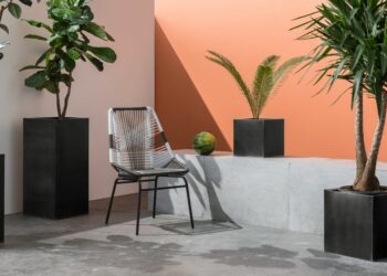 Où trouver des grands pots pour plantes ?