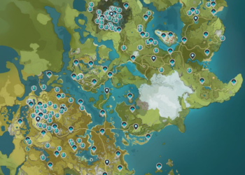 Où trouver des morceaux de mousse ?