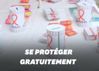 Où trouver des pampas gratuit ?