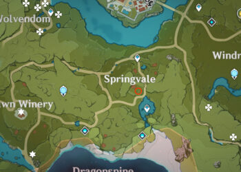 Où trouver des patères ?