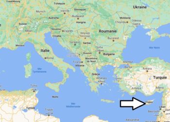 Où trouver du Chypre ?