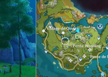 Où trouver du bambou gratuit ?