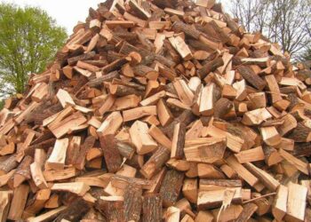 Où trouver du bois de chauffage gratuit ?