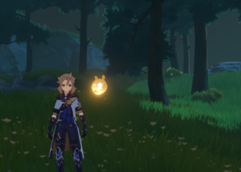 Où trouver du bois de palissandre ?