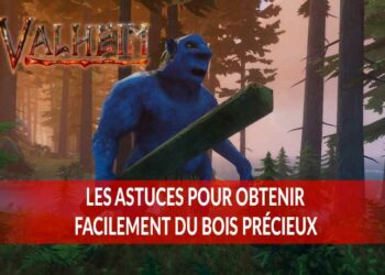 Où trouver du bois précieux ?