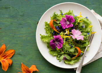 Où trouver fleur rare ?