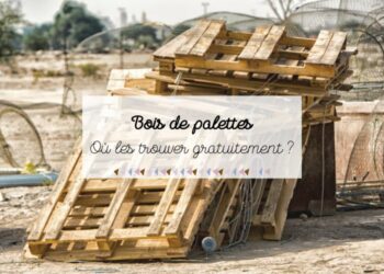 Où trouver gratuitement des palettes ?