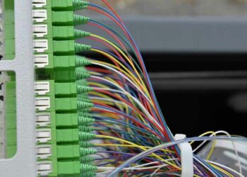 Où trouver un sapin en fibre optique ?