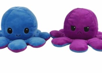 Où trouver une pieuvre réversible ?