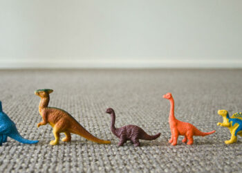 Où vendre ses fossiles ?