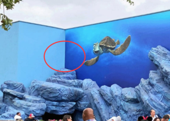 Pourquoi Crush Coaster est fermer ?