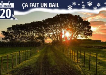 Pourquoi Dit-on ça fait un bail ?