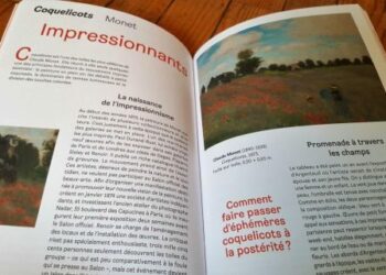 Pourquoi Montauban est connu ?