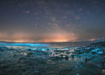 Pourquoi aimer la couleur bleue ?