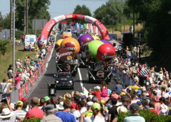 Pourquoi autant de coquelicots cette année ?