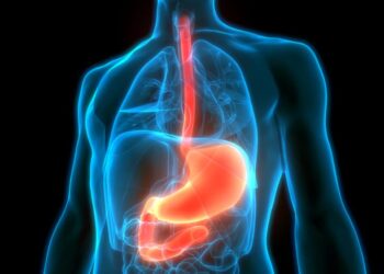 Pourquoi chauffer son foie ?