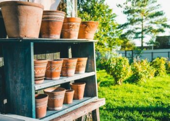 Pourquoi choisir des pots en terre cuite ?