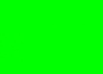 Pourquoi la couleur vert ?