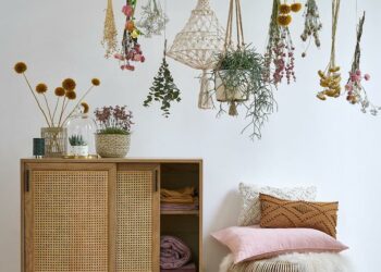 Pourquoi la nuit les plantes rejettent du CO2 ?