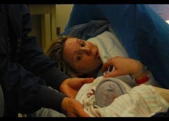 Pourquoi la pieuvre meurt après accouchement ?