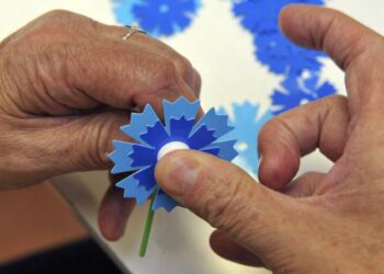 Pourquoi le bleuet pour le 11 novembre ?