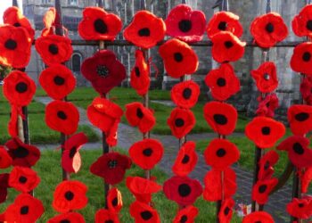 Pourquoi le coquelicot est le symbole de la Première Guerre mondiale ?