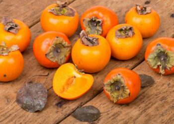 Pourquoi le kaki est orange ?