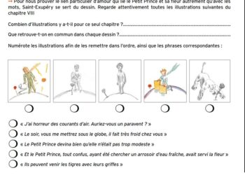 Pourquoi le petit prince se laisse mordre par le serpent ?