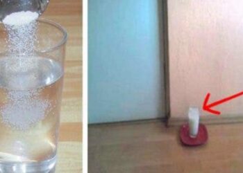 Pourquoi le sel remonte dans le verre ?