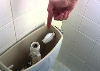 Pourquoi l'eau coule dans les toilettes ?