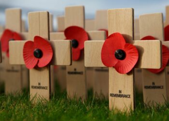 Pourquoi les Anglais portent un coquelicot le 11 novembre ?