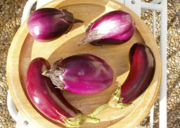 Pourquoi les aubergines sont marron ?