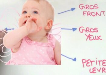 Pourquoi les bébés sont joufflus ?