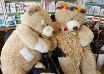 Pourquoi les nounours ?