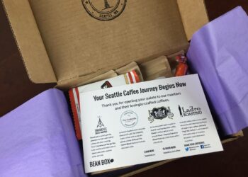 Pourquoi ma box Free bug ?